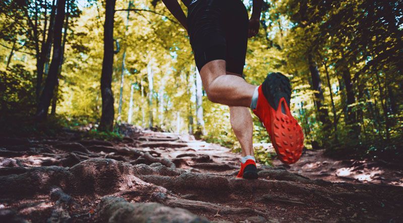 Detalles del Trail Running ¨Cerro Alarkén¨