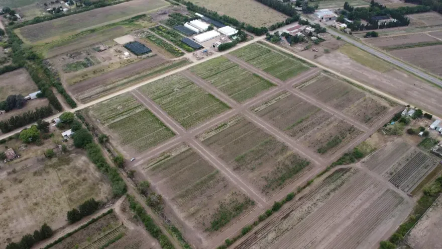Barrios ilegales en La Plata: empresarios acusados de estafas con loteos