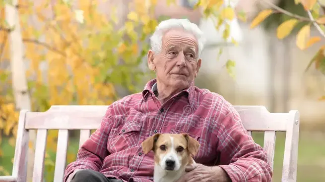 Día del Animal: cada vez más personas tratan a las mascotas como si fueran humanos