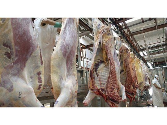 Exportación de carne: el Gobierno abrió la inscripción para la Cuota Hilton 2026-2027