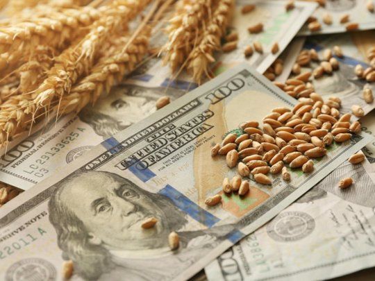 El agro cayó por las lluvias y problemas logísticos, aunque mantiene niveles récord de exportaciones