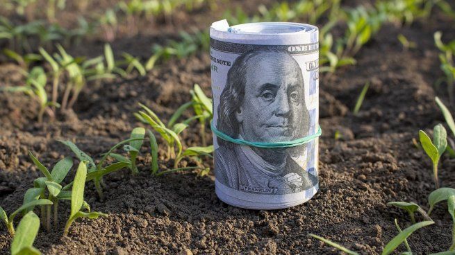 El BCRA eliminó una nueva restricción al agro: cuál es el objetivo y cómo impacta en los créditos