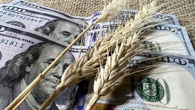 Baja de retenciones: estiman que mejorará la rentabilidad agrícola y ayudará a sostener exportaciones