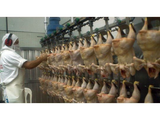 El pollo desplazó a la carne vacuna y la industria avícola busca su próximo salto
