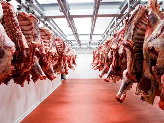 El precio de exportación de la carne alcanzó en el primer trimestre un récord histórico