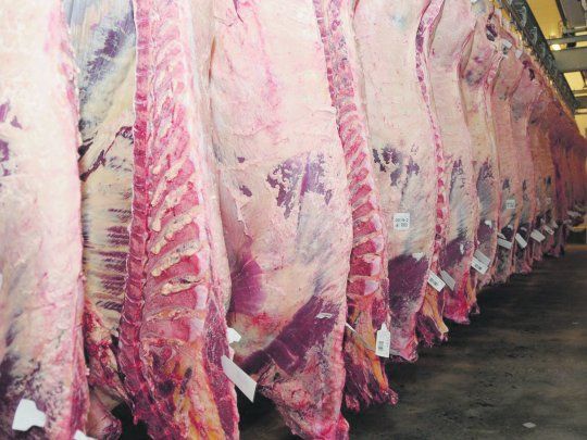 Para un frigorífico tradicional "el precio de la carne llegó a un techo"