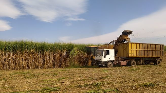 Adecoagro suma otro activo clave: desembolsa u$s148 millones por un ingenio azucarero en Brasil