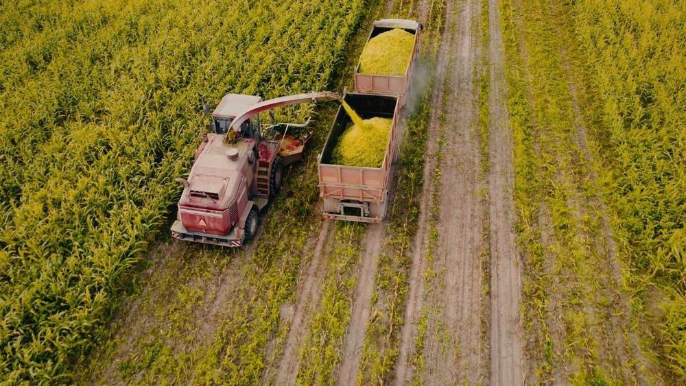 Sube el gasoil en medio de la cosecha: Federación Rural alerta de un impacto en la producción