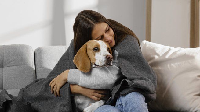 ¿Qué significa que tu perro apoye la cabeza sobre vos?