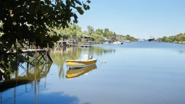 Salidas en luna llena y sin internet: La experiencia en el río que sorprende en
Berisso