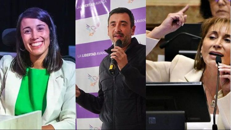 Coto y Monte de Oca, solo declaraciones; López con varios proyectos de ley