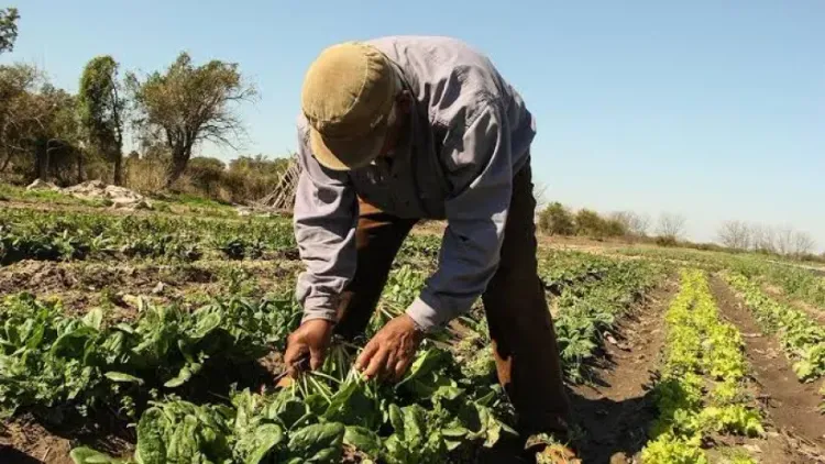 "La agroecología propone al suelo como un sistema vivo que puede mejorar sus
condiciones"