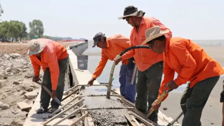 "Se pierde todo el ecosistema": ONG alerta por la extensión del murallón en
Punta Lara