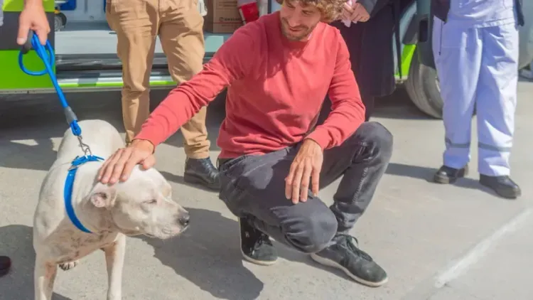 San Fernando prohíbe los criaderos de mascotas y la venta de animales en
comercios