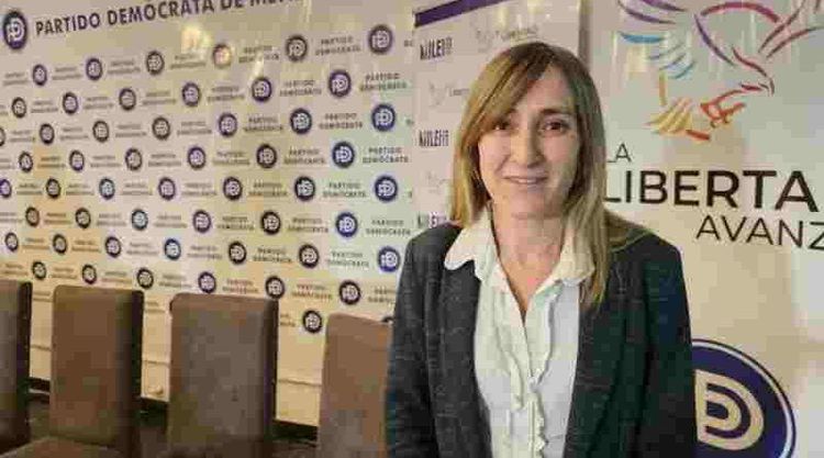 La Libertad Avanza insiste con la supuesta “red de desinformación rusa”: presentaron un proyecto de repudio en Diputados