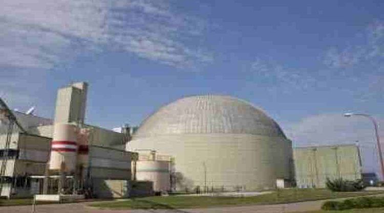 Nucleoeléctrica lanza licitación con menores exigencias en pliego bajo antecedentes de denuncias