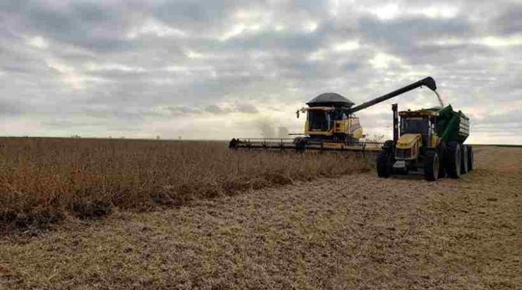 El Gobierno oficializó el esquema de reducción gradual de las retenciones para el agro