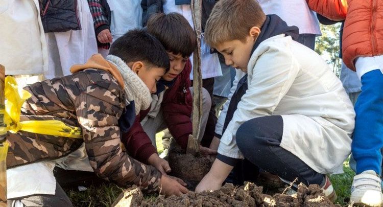 Continúa plan de plantación en parques de Canelones, esta vez en el parque Artigas de Las Piedras