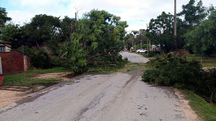 Centro Coordinador de Emergencias de Canelones brindó un reporte de las solicitudes recibidas