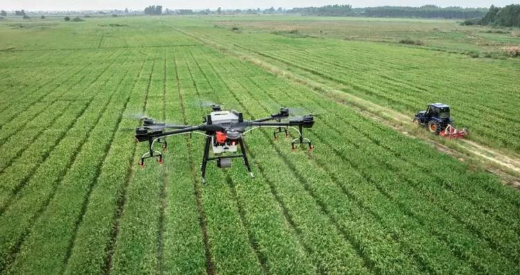 Startups agtech latinoamericanas revolucionan la agricultura y ahorrarían 70.000 millones de litros de agua