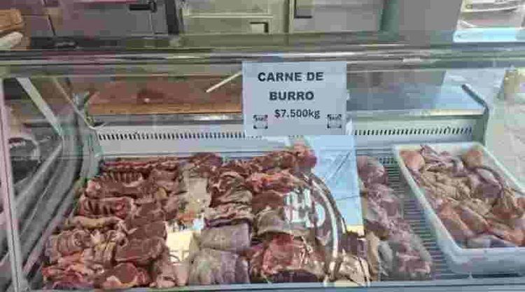 Polémica por la venta de carne de burro en Argentina: ¿es legal?
