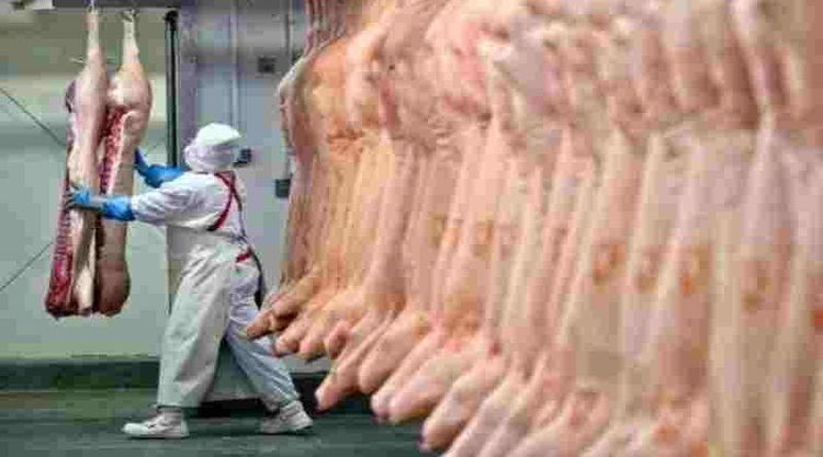 Nuevo aumento para los trabajadores de la carne