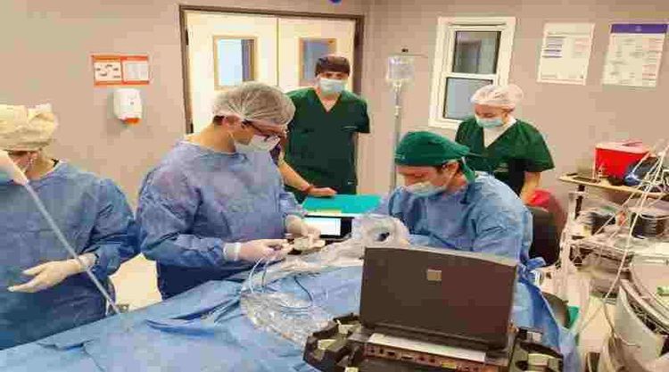 Centros de salud colapsados, pero seis de cada diez dispositivos hospitalarios son manuales