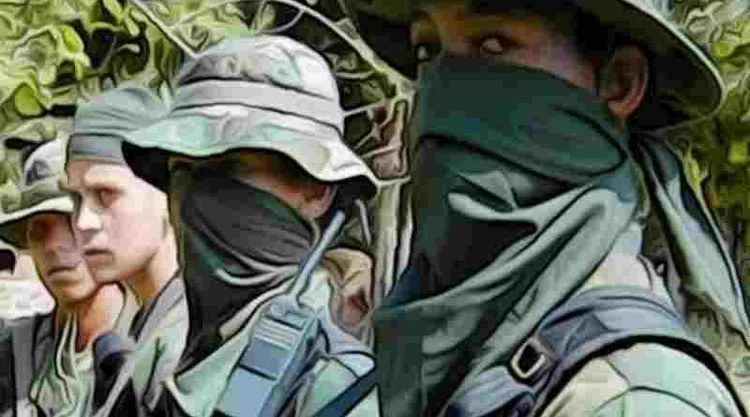 Colombia: El ejército abatió a siete miembros de la guerrilla del ELN