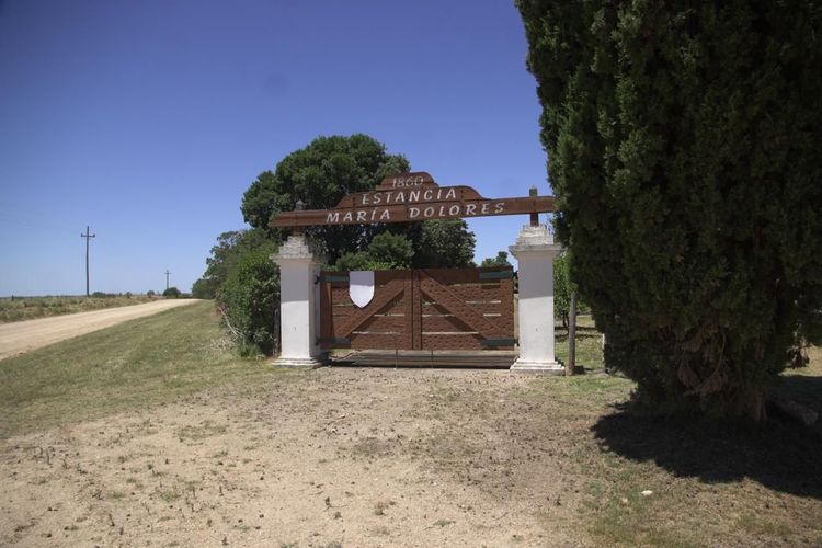 Colonización defendió compra de estancia por US$ 32,5 millones ante comisión investigadora