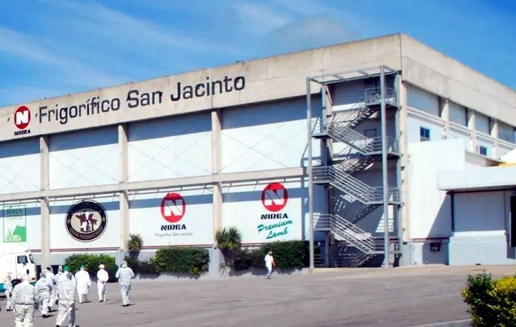 China detectó restos de medicamento veterinario en carne uruguaya y suspendió importaciones de frigorífico San Jacinto