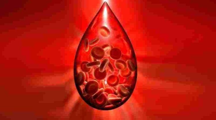 Un nuevo tratamiento para la hemofilia está disponible en Argentina