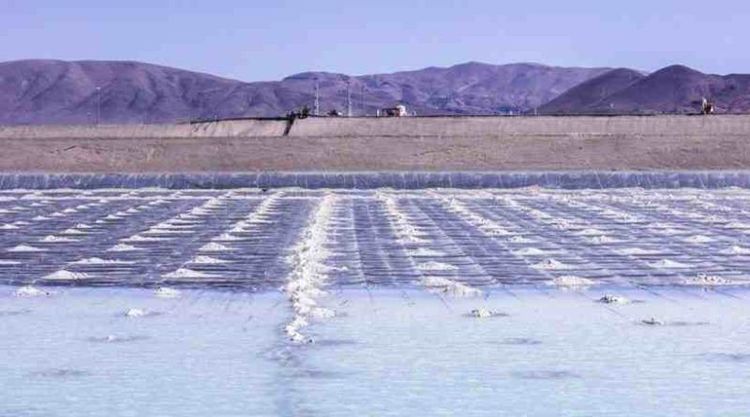 Litio en Mendoza: el proyecto “Don Luis y Otro” presentó la declaración de impacto ambiental