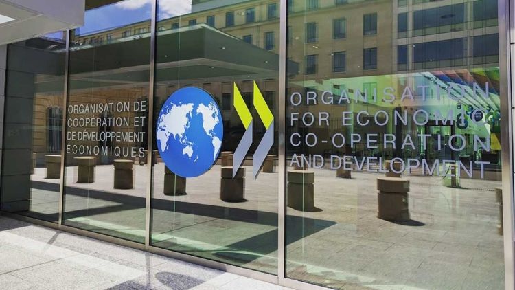 Uruguay apunta a sumarse a la OCDE: cuáles son las ventajas que ofrece el bloque internacional