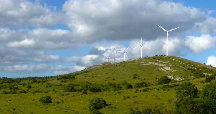 Cómo Uruguay edificó una red eléctrica limpia blindada frente a los shocks globales