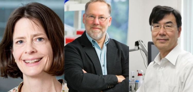 Premios Nobel de Medicina 2026: ¿Estarán a la altura de los Nobel del año pasado?