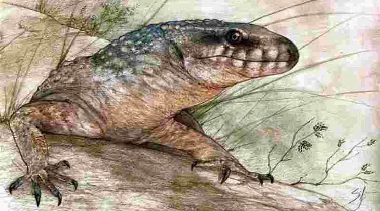 Hallan en la Patagonia un reptil de 70 millones de años y lo reconstruyen digitalmente