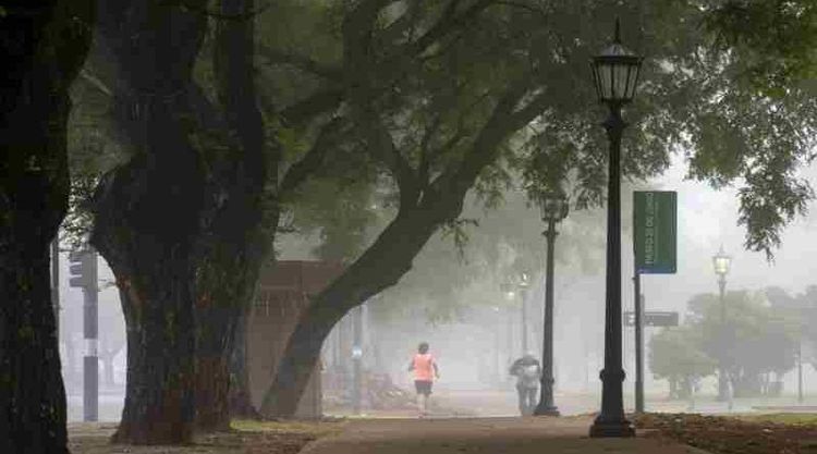 Clima de finde en la ciudad: Rosario tendrá dias frescos, estables y con neblinas