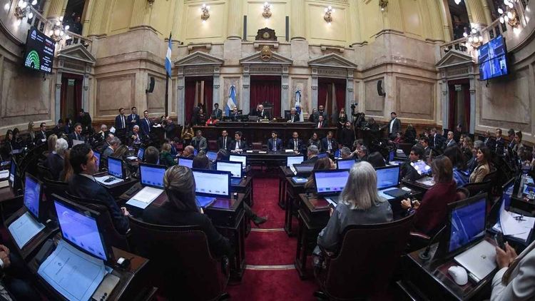 El Senado argentino aprobó la repudiada “Ley de Inviolabilidad de la Propiedad Privada”, pero con varias derrotas