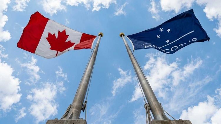 El “efecto Trump” que empuja a Canadá a buscar un tratado de libre comercio urgente con el Mercosur