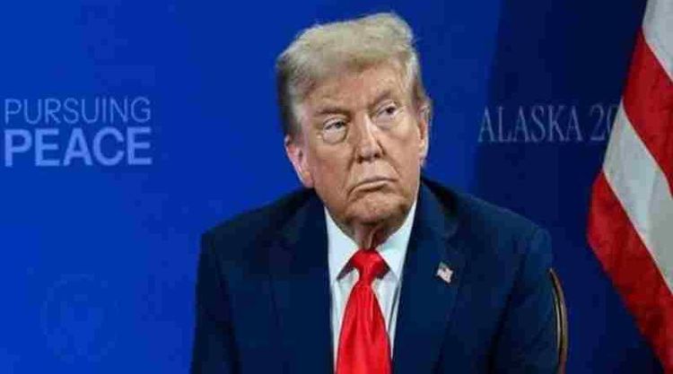 Trump calificó a la OTAN como un “tigre de papel” y evalúa la salida de Estados Unidos de la alianza