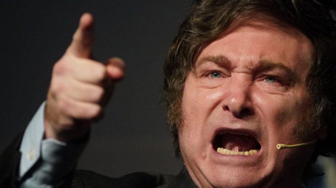 Qué le preocupa (y enoja) a Javier Milei