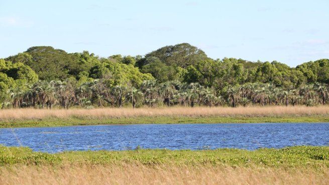 El paraíso de Corrientes para conectar con la naturaleza como nunca antes lo habías hecho