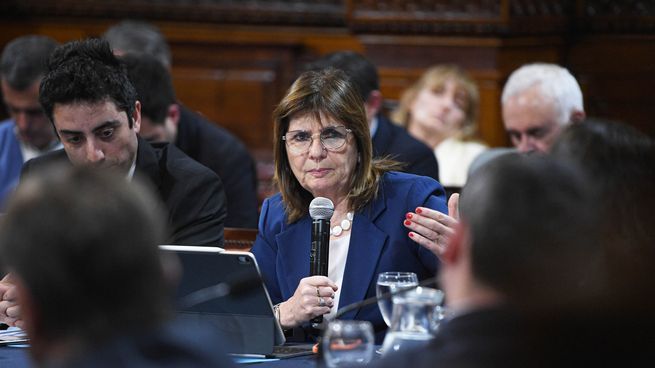 Discapacidad, Banco Central y Zona Fría: el Gobierno busca avanzar en el Congreso