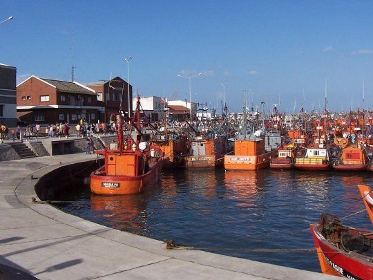 Comercio exterior: el Puerto de Mar del Plata lanza incentivos para exportar y busca frenar la salida de cargas a otros puertos