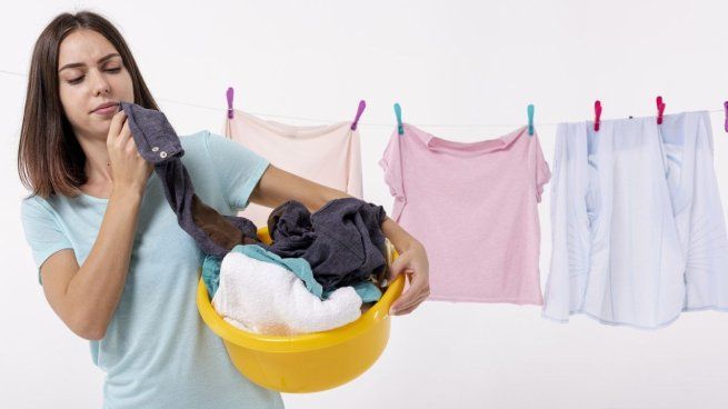 Cuánto sale un tender eléctrico: precios, alternativas y diferencias con la secadora