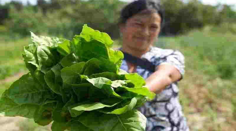 Rosario reafirma su protagonismo internacional en políticas alimentarias urbanas