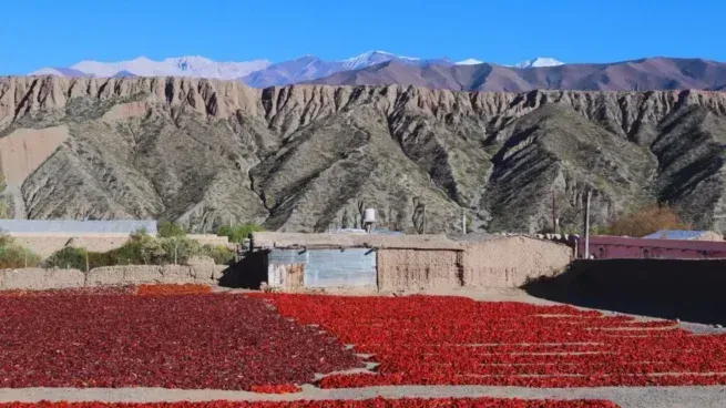 El espectáculo de Argentina que se transforma durante el otoño y se convierte en una obra de arte
