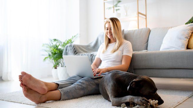 La ciencia revela cómo saber si tu perro realmente entiende lo que dices