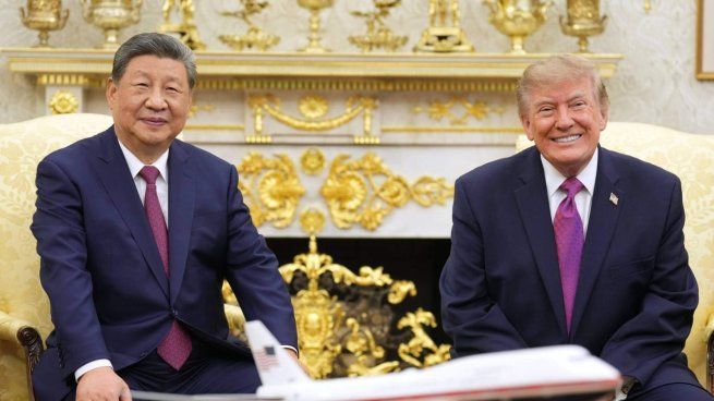 China envió dos pandas gigantes a EEUU tras la cumbre entre Donald Trump y Xi Jinping
